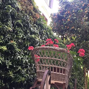 Imperia Guest house